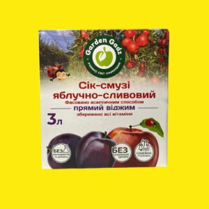 Сік-смузі яблучно-сливовий Гадз 3л