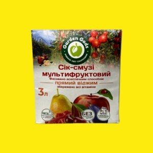 Сік смузі Гадз мультифруктовий 3л
